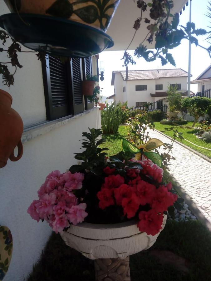Apartamentos Bela Vista Nazaré Exteriör bild