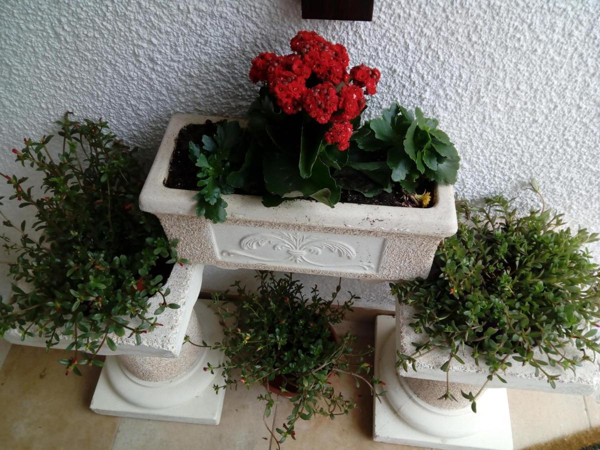Apartamentos Bela Vista Nazaré Exteriör bild