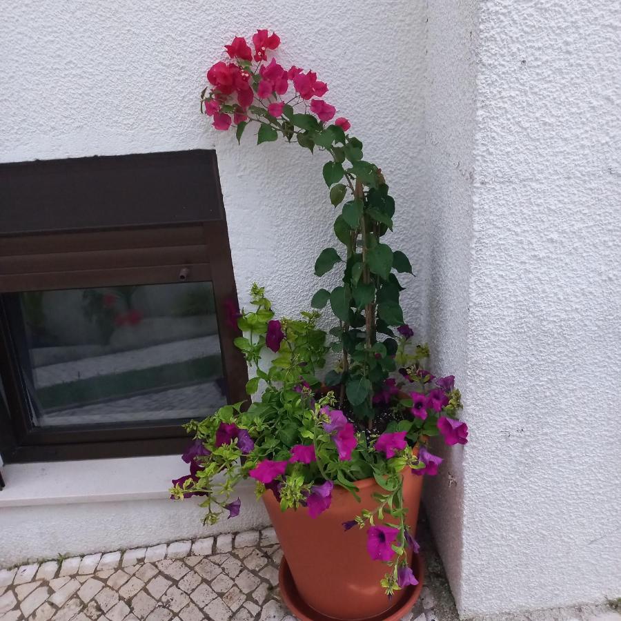 Apartamentos Bela Vista Nazaré Exteriör bild